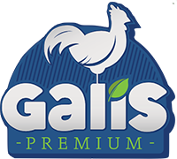 logo - galis